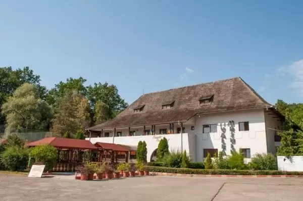 Pensiunea Valea Ursului, Bascov, județul Argeș - Muntenia