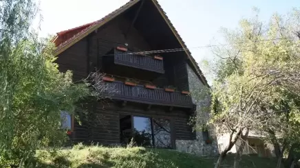 Pensiunea ,,Cabana 7 brazi