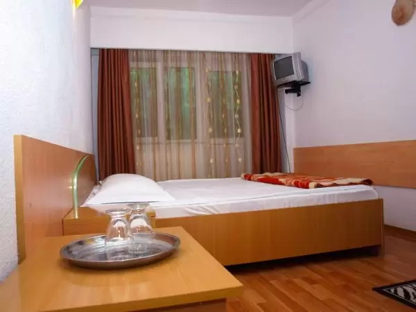 Apartament - Cabana Codrii Pașcanilor - Cabana Codrii Pașcanilor, județ Iași - Moldova