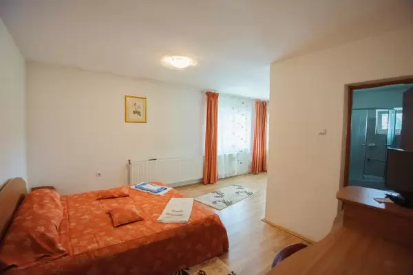 Cameră dublă Horezu - Pensiunea Horezu, județ Vâlcea - Muntenia